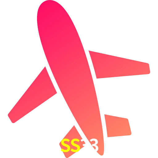 SS33