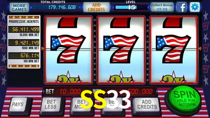 SS33