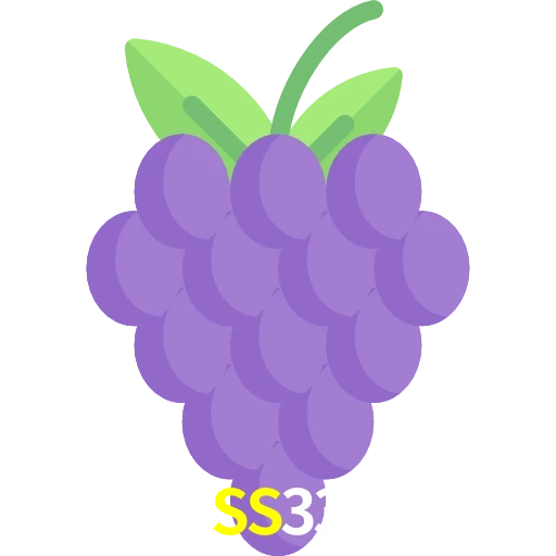 SS33